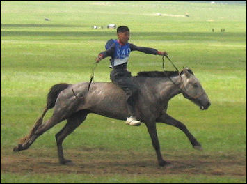 20120515-horse mongoliaNaadam_rider_1.jpg